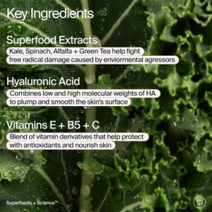 Superfood Air-Whip Moisture Cream - Kale